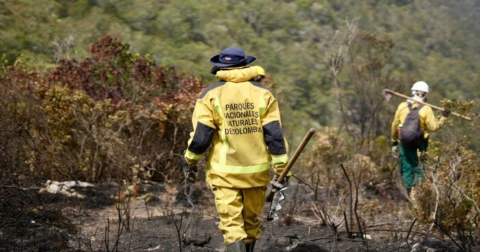 Quién es la mujer que liderará la recuperación del Parque Iguaque tras el incendio que le acabó 1.083 hectáreas - Quién es la mujer que liderará la recuperación del Parque Iguaque tras el incendio que le acabó 1.083 hectáreas