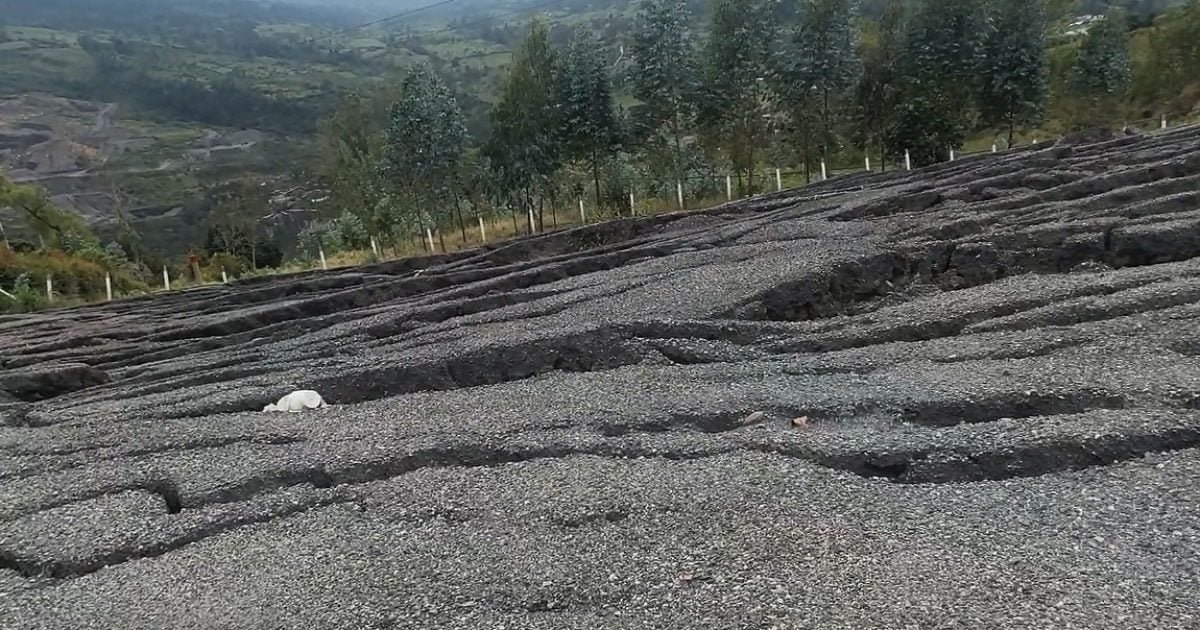 WhatsApp Image 2026-01-21 at 4.41.57 PM (1)